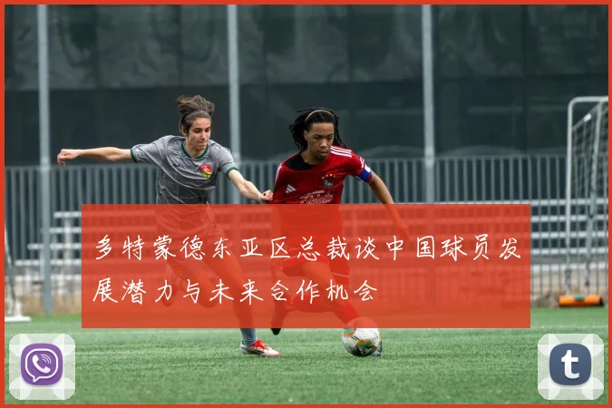 多特蒙德东亚区总裁谈中国球员发展潜力与未来合作机会