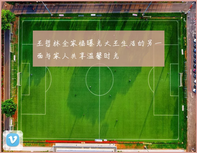 王哲林全家福曝光大王生活的另一面与家人共享温馨时光