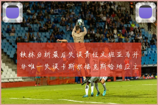 铁林分析最后失误责任文班亚马并非唯一失误卡斯尔福克斯哈珀应主动接球